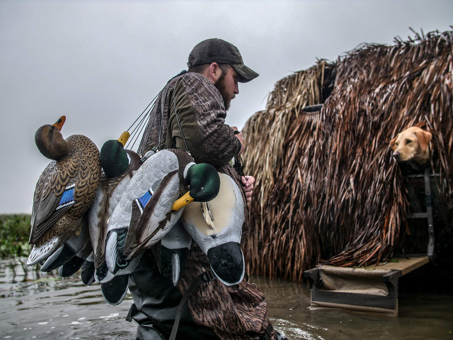 Flambeau Outdoors 1215GSD Gunning Series Mallard Decoys, Classic Floaters - 6-Pack
