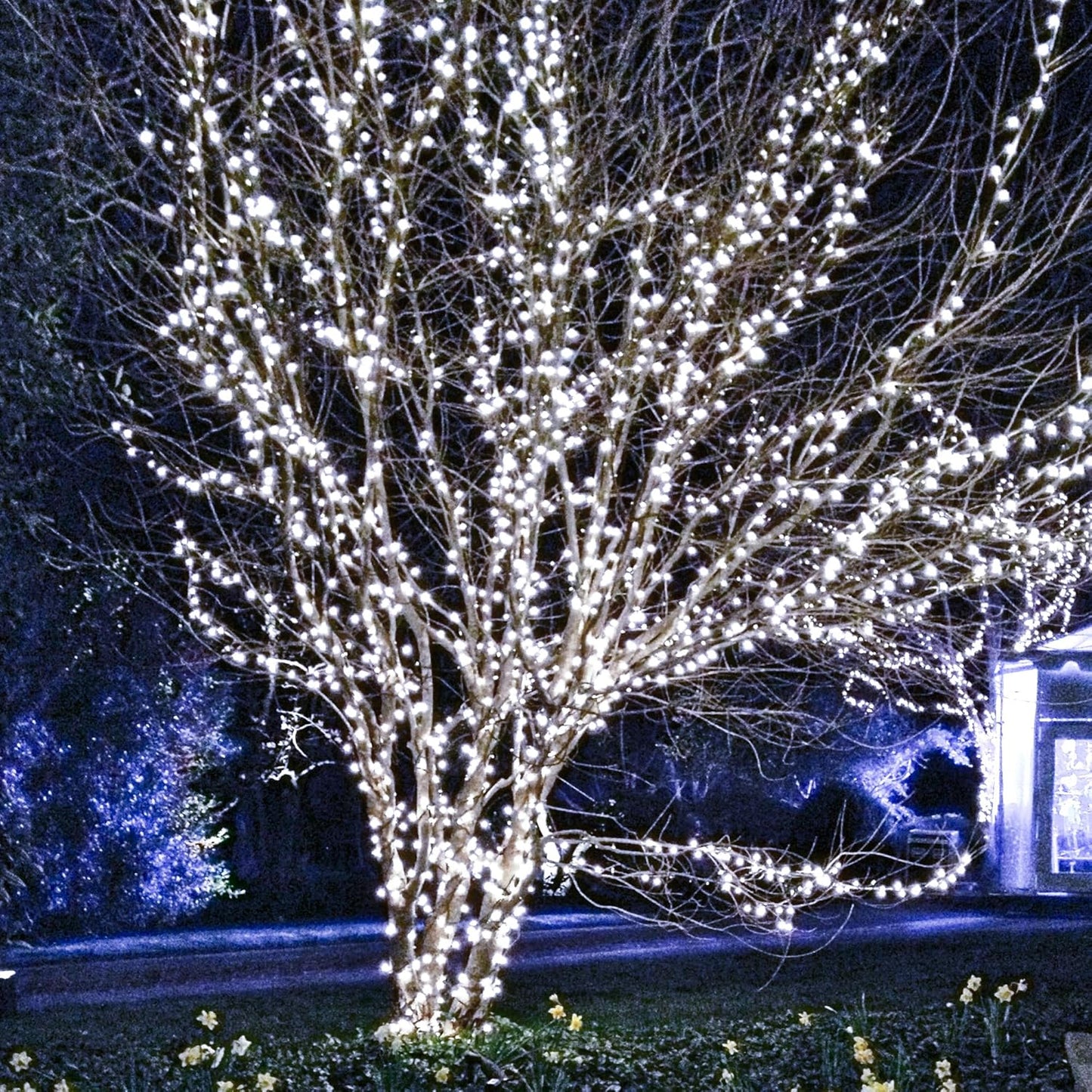 1000 LED Halloween String Lights 328FT - Waterproof Outdoor & Indoor Decor with Remote, 8 Modes - Purple & Orange for Parties & Yard