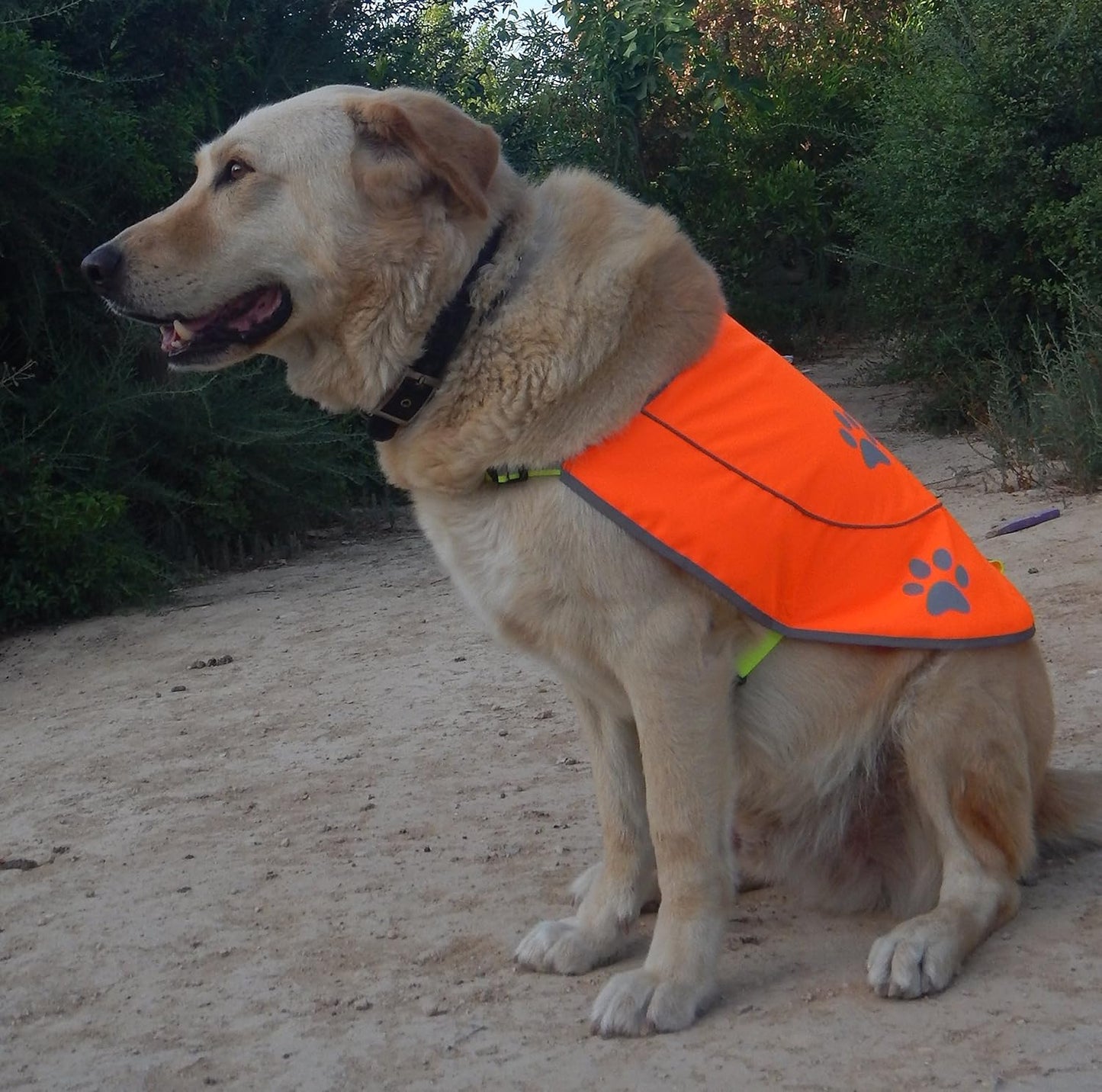 Skiennix Dog Reflective Vest - High Visibility Safety Jacket with Elastic Straps | Yellow, XX-Large