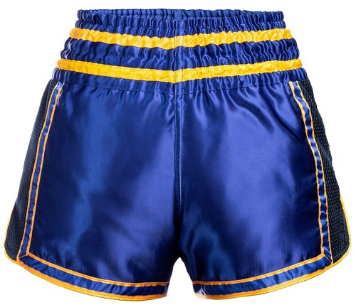 Hardcore Training Muay Thai Shorts Blue Kick Boxing MMA Combat Sport Sparring Trunks