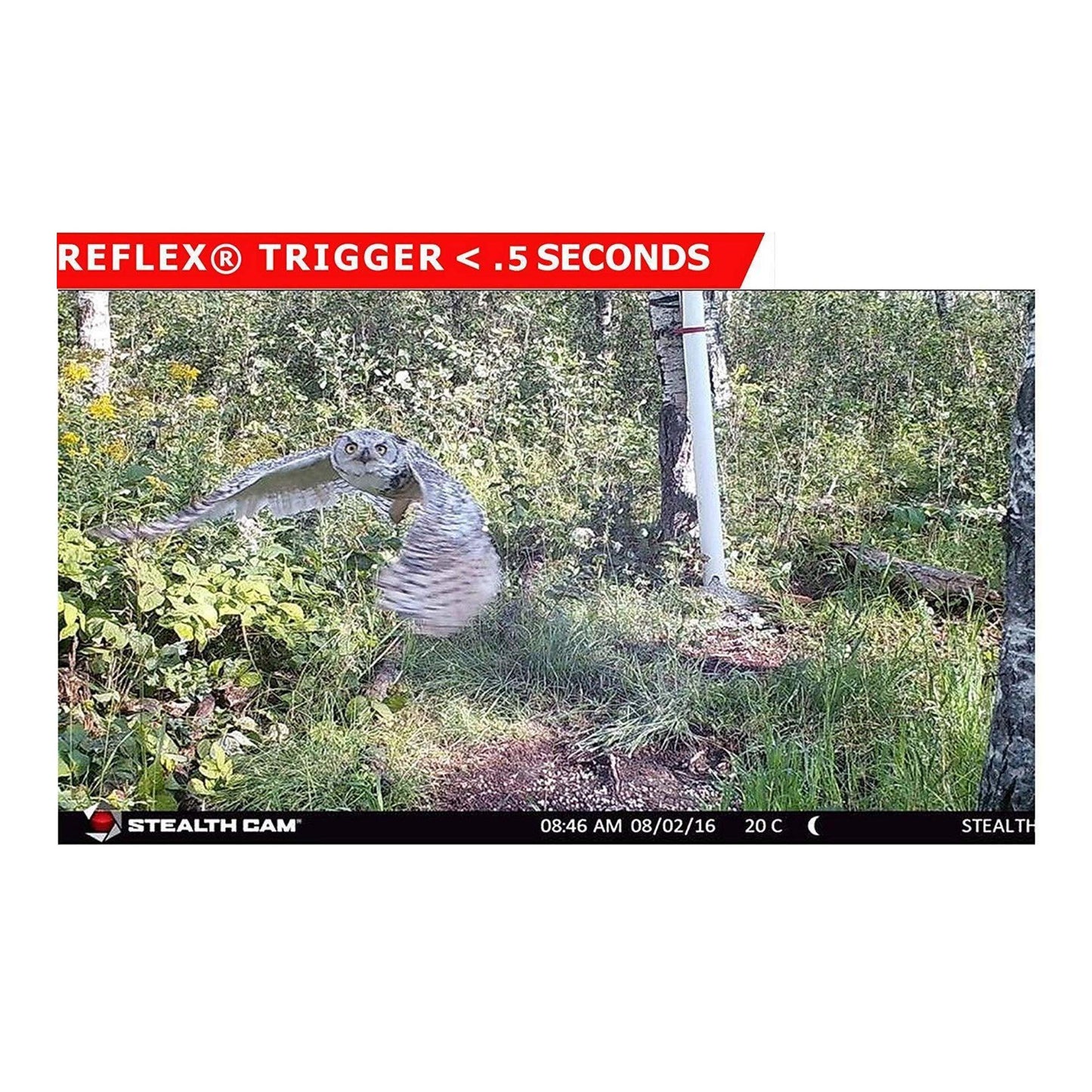 Stealth Cam 2020 G42NG 24MP Trail Camera and Memory Card Bundle. No-Glow Flash, 100-Ft. IR Range, Kryptek Camo (3 Items)