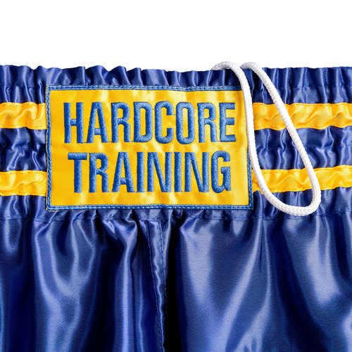 Hardcore Training Muay Thai Shorts Blue Kick Boxing MMA Combat Sport Sparring Trunks