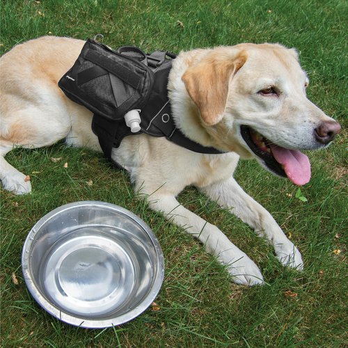 Kurgo RSG Hydration Flask - Dog Outdoor Hydration Kit - BPA Free Water Bladder - MOLLE Compatible Pouch - Portable Water Storage - Washable Dog Gear Pouch