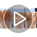 Brown 100 Pcs 6.7” Biodegradable Vegetable Fiber Disposable Knives - Heavy-Duty, Splinter-Free