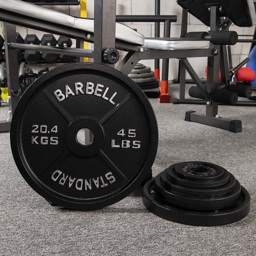 Aurorafy Cast Iron Olympic 2 Inch Weight Plate for Weightlifting and Strength Training, Multiple Weights Available, 45LB Set (2.5LB 5LB 10LB)