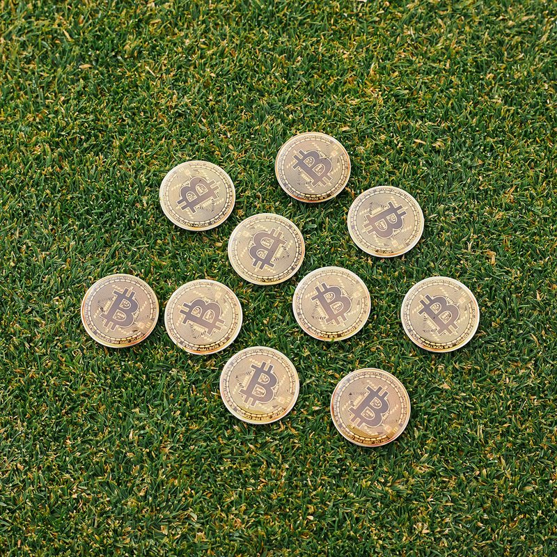 HODL 21 Bitcoin Golf Ball Markers Value Pack - Works with Most Hat Magnetic Clips and Divot Repair Tools Men and Women Golf Gift Accessories Funny Ball Mark Bulk Lot