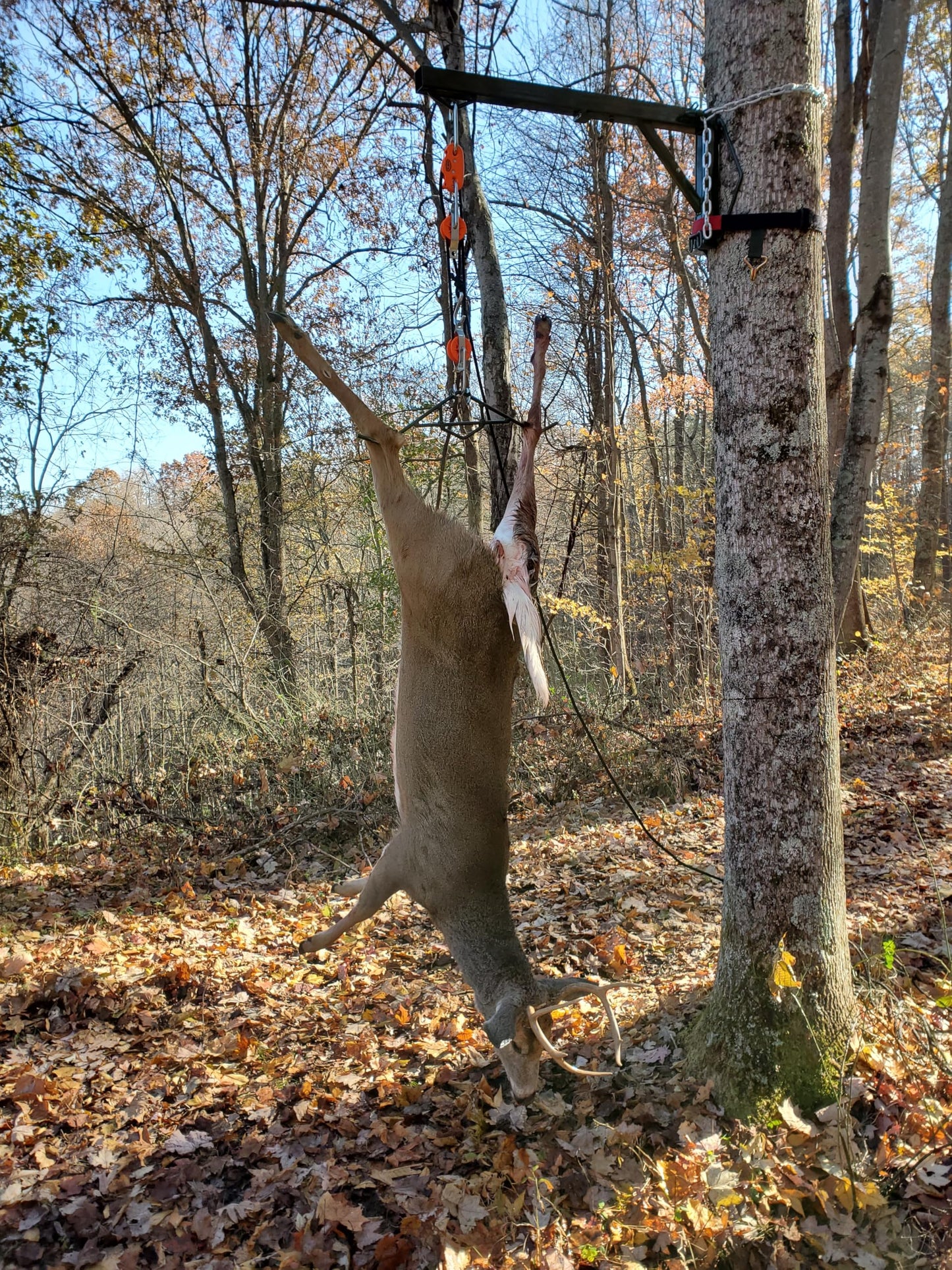 Tie Boss - Self Locking, Block and Tackle Pulley Hoist System with 35 ft of Polypropylene Solid Braided Rope. (Rated for 300lbs)