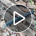 12" Fixed Blade Hunting Knife - Super Sharp Survival Knife B