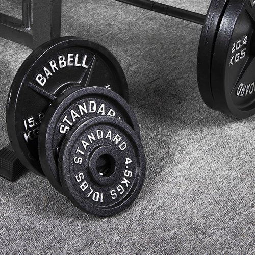 Aurorafy Cast Iron Olympic 2 Inch Weight Plate for Weightlifting and Strength Training, Multiple Weights Available, 45LB Set (2.5LB 5LB 10LB)