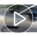 Funny Skeleton Magnetic Car Decal - Motivational Black & White