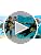 Boys Long Sleeve Rash Guard 2-Piece Swim Set UPF 50+ 5-6 Years White Fish